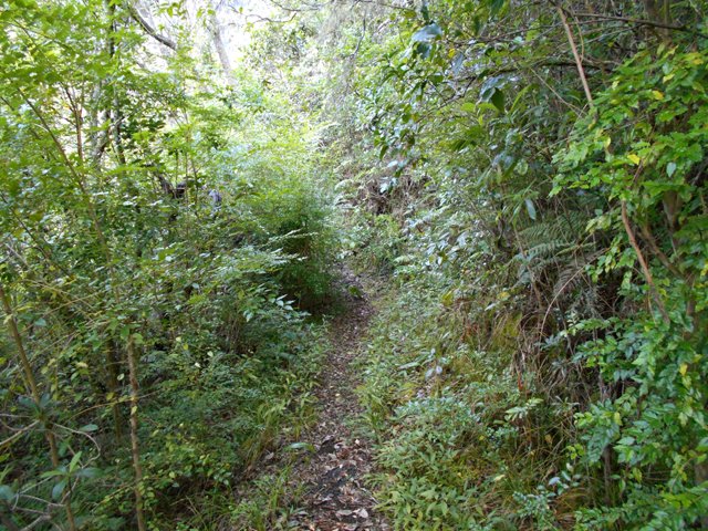 A nouveau le sentier facile à suivre