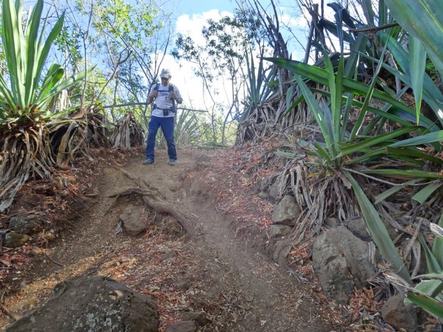La fin de la boucle ne quittera jamais les sentiers de très bonne qualité