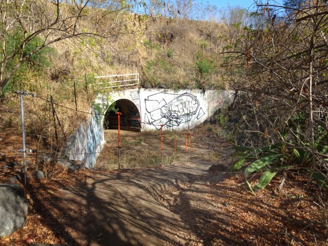Arrivée au tunnel sous le Route des Tamarins