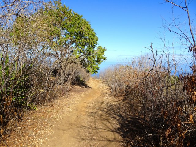 Large sentier où l'on peut se croiser sans risque