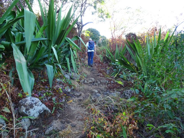 Beaucoup de chocas jusqu'à Chemin Diale