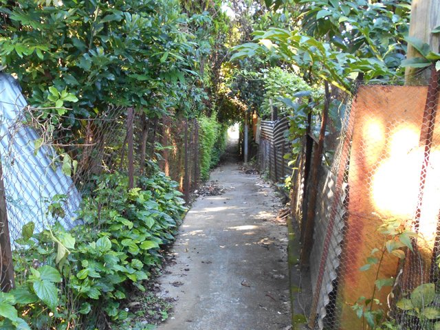 Grillages et tôles ondulées pour protéger les jardins