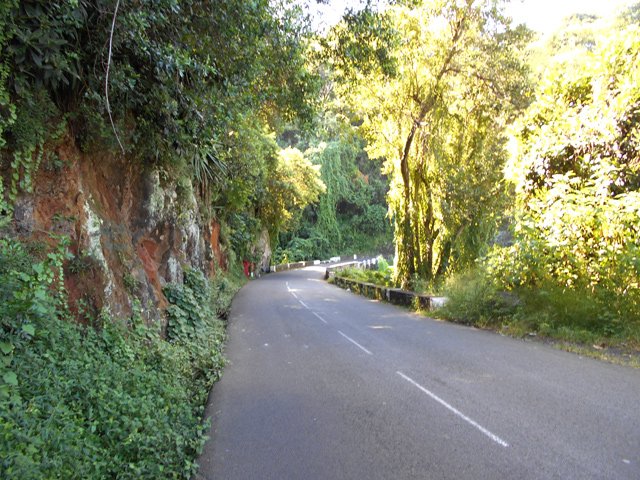 Rares portions de routes fréquentées