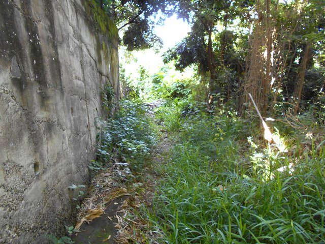 Le seul "sentier" de la boucle
