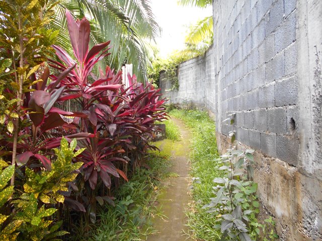 Ici, hautes murailles de moellons