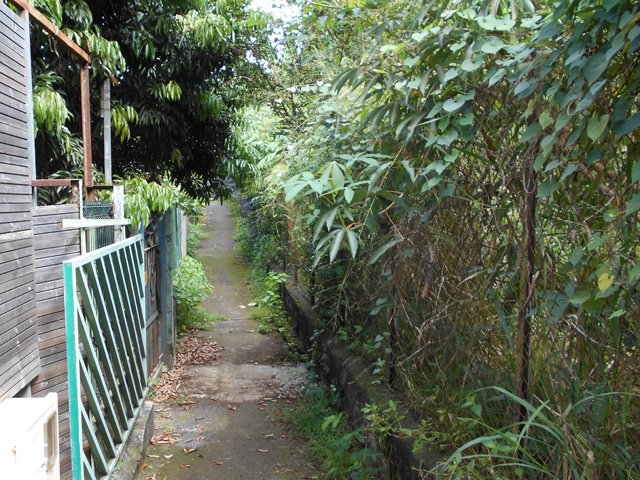 Une des dernières ruelles de la boucle, bordée de verdure