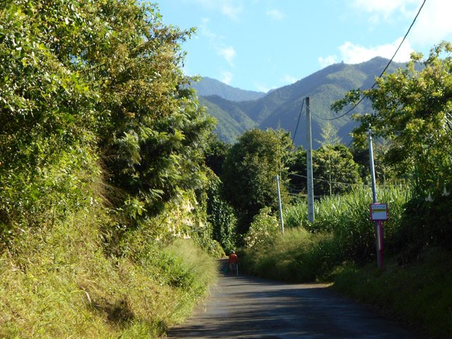 Le sympathique Chemin des Canots vers la Route Hubert Delisle