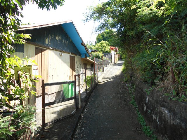 La 4ème ruelle bordée de cases et jardins