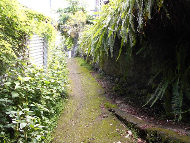La dernière ruelle avant le retour