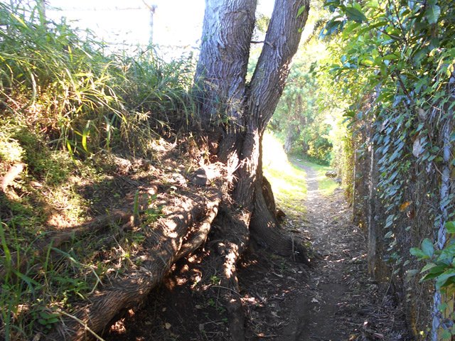 Le sentier entre la réserve d'eau et le stade de football