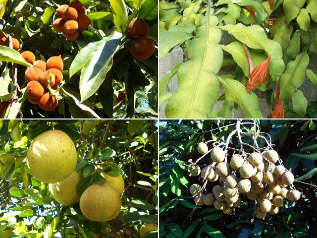 Petite leçon de choses durant le trajet