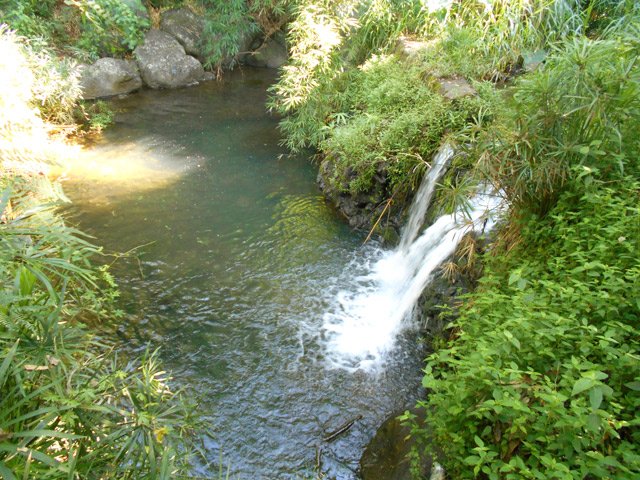 Le bassin et sa chute sur la Ravine Richard