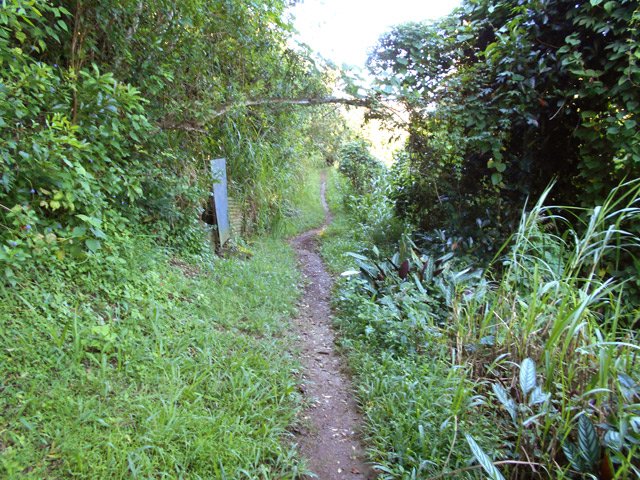 Sentier agréable, à l'ombre en longeant la ravine