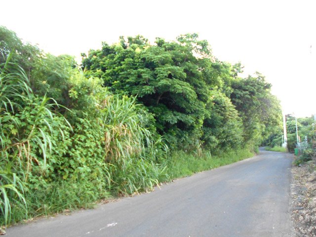La route, au départ de la boucle
