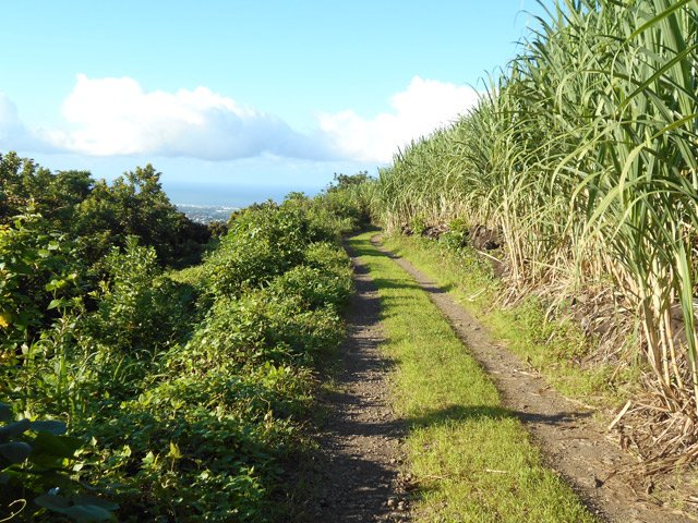 La belle piste après le Chemin Détour