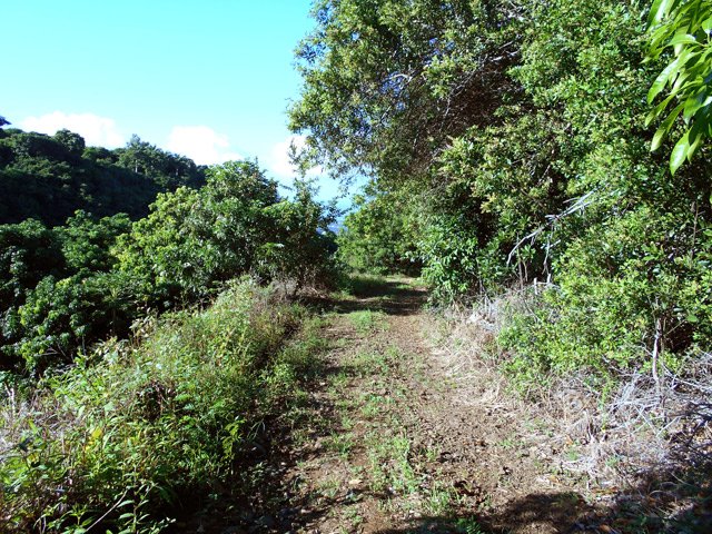 La dernière piste de la boucle, moins jolie