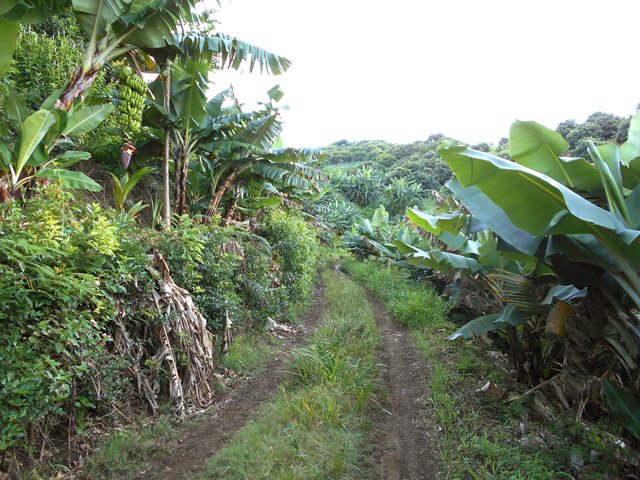 La piste de droite au Y qu'il faut éviter