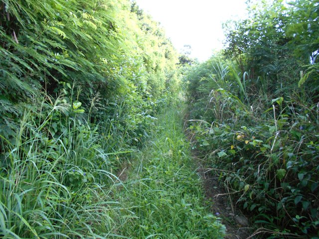 La piste où l'agriculteur rencontré passait du désherbant