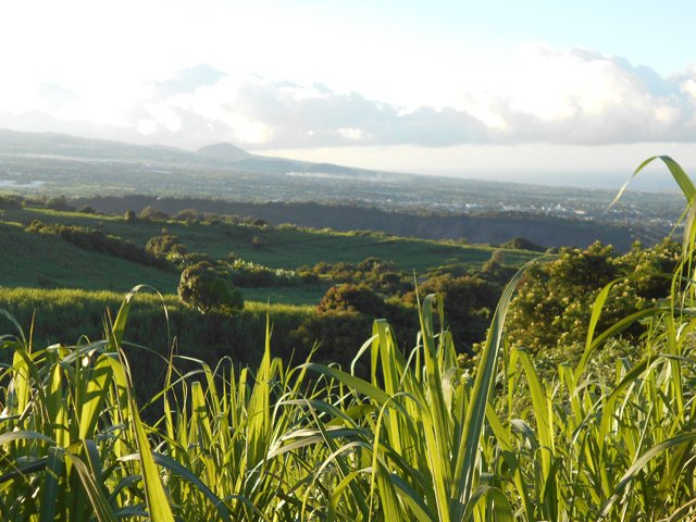 Vue sur la Tampon, la Rivière Saint-Etienne et le Piton de Mont Vert