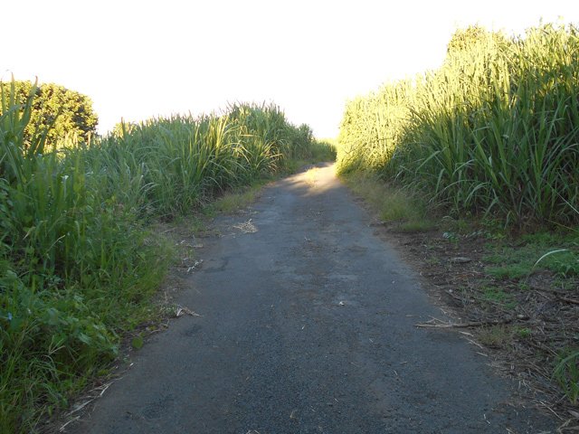 On retrouve un tronçon de route en légère montée