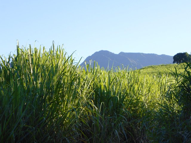 Au loin, les crêtes en dents de scie du Dimitile