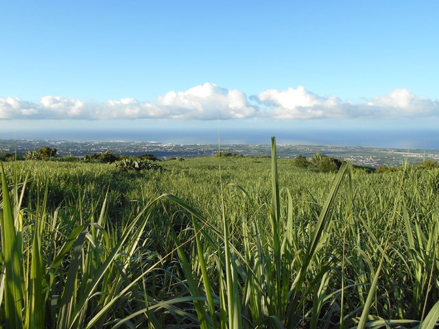 Points de vue sur Saint-Louis
