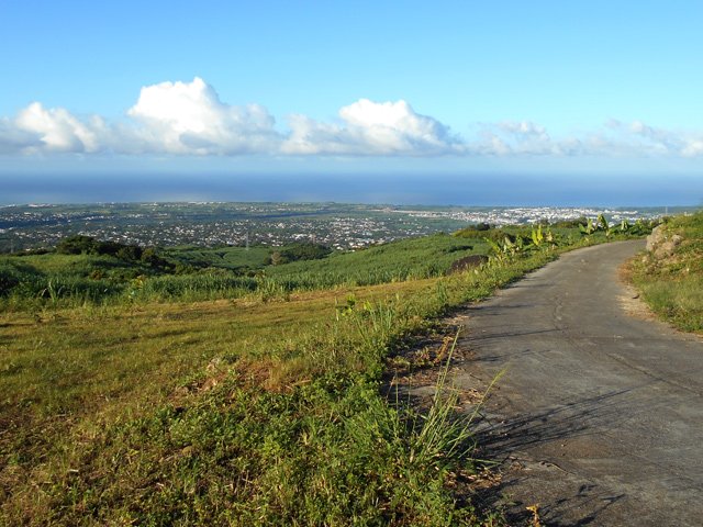 Moins de canne à sucre pour de larges panoramas
