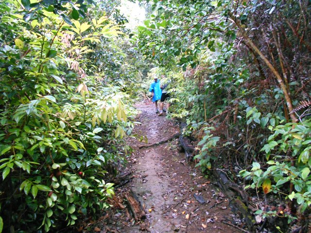 Le sentier qui longe la ravine de la Rivière Sainte-Marie