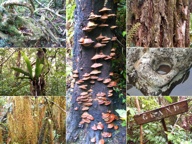De la nature à 100% sur la moitié du trajet
