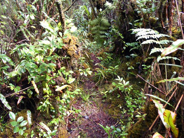 On ne perd jamais la trace lors de cet écart
