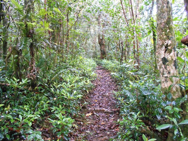 Douce montée sur un ancien beau parcours abandonné