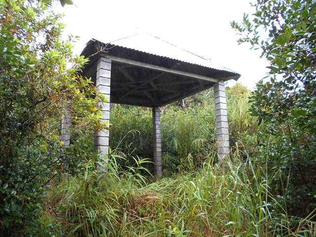 Le kiosque sous la pluie. On se demande qui vient mais les ordures sont pourtant là !