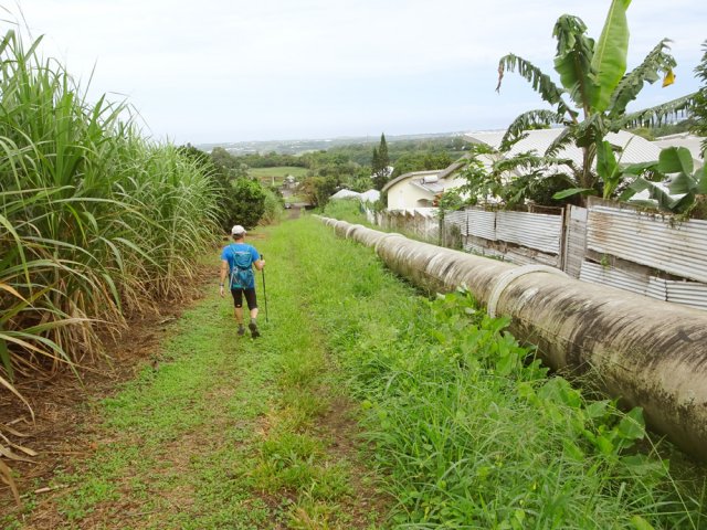 Longer le tuyau plutôt que la route pour rejoindre le pont
