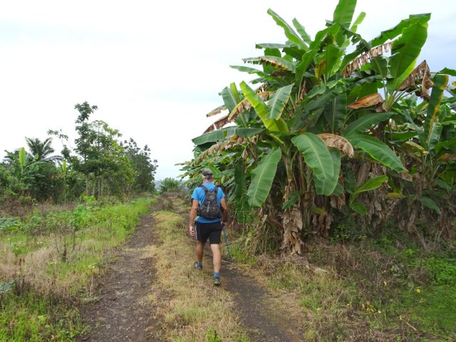 La route se transforme en piste