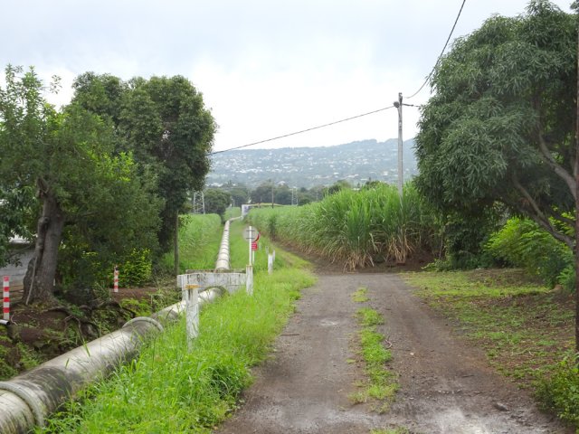 La piste qu'on suivra longuement