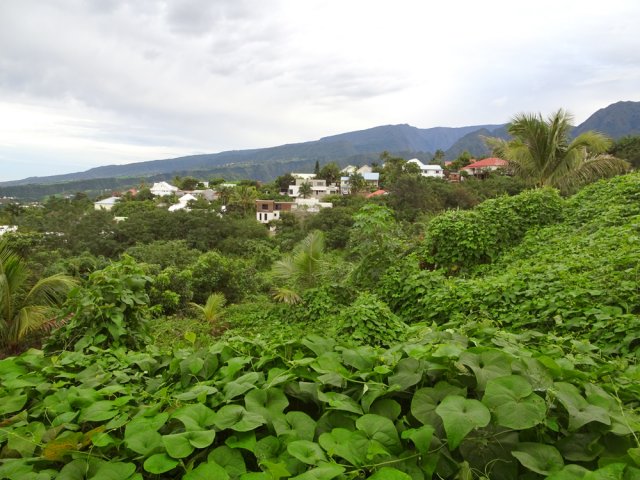 Un quartier du Dassy à l'arrière d'anciennes cultures