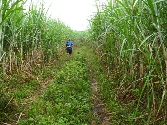 Fin de la descente avant le Chemin Ducasteing