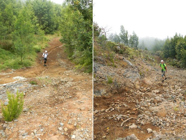 La large piste terreuse au départ dans les acacias noirs