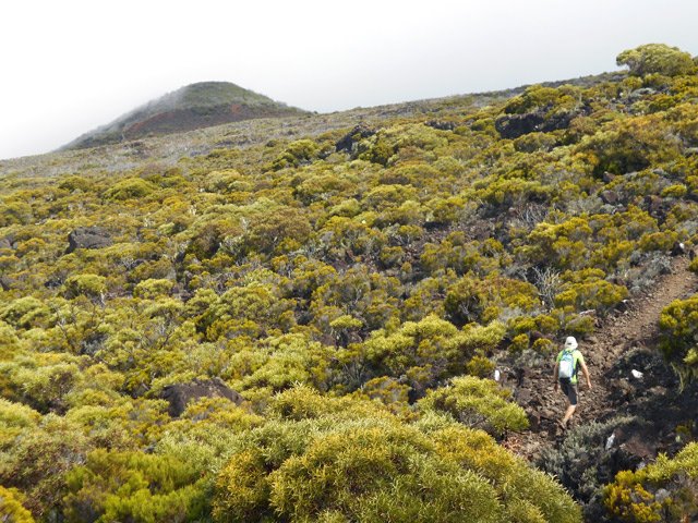 Arrivée sur le sentier de la grotte du Roi Phaonce