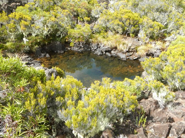 Petit bassin proche de la grotte du légendaire roi
