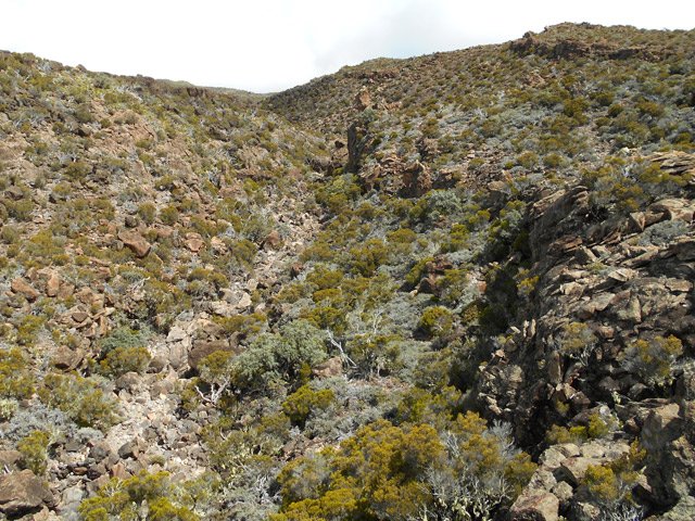La belle vallée rocheuse de la Ravine des Colimaçons