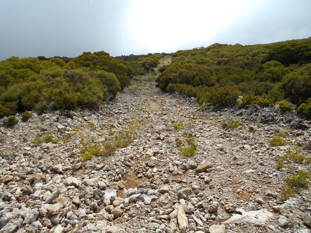 Très vite, la piste se recouvre de cailloux pour le plaisir des chevilles