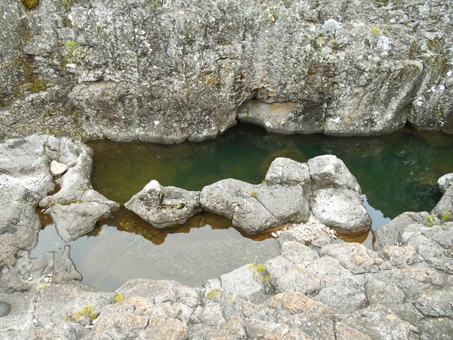 Les bassins ont toutes les formes possibles