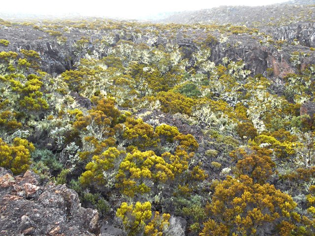 Le contournement pour franchir un cassé de la Ravine Simambry