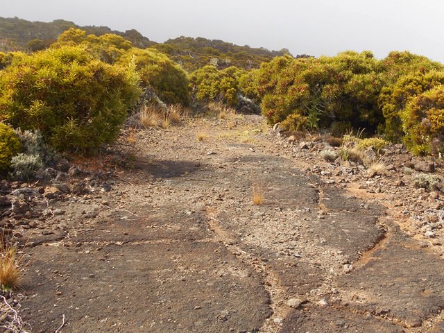 Des portions de la piste vers le sud passent sur les plaques de basalte