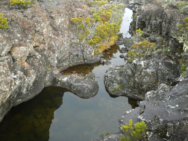 Des bassins du canyon des Fleurs Jaunes, fin de la piste