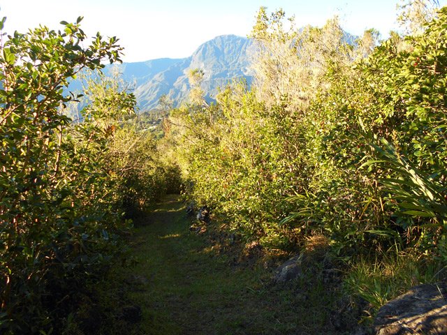 Une autre portion du sentier avec vue sur le Gros Morne