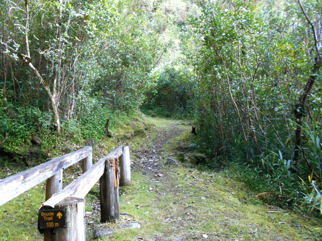 Les premiers 100 mètres se terminent à cet exercice pour les bras