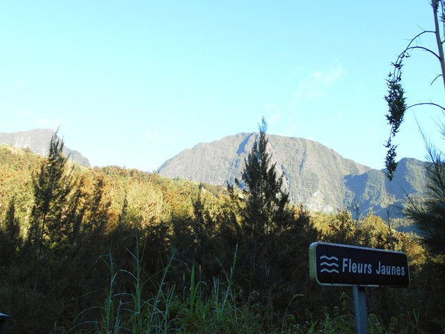 Près du pont sur la Rivière des Fleurs Jaunes au lever du soleil