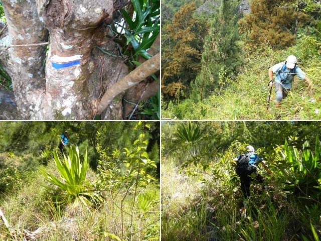La montée sur un sentier à peine visible demandant toute l'attention